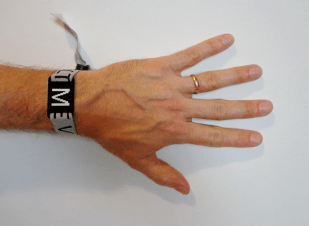 Banded Moogfest 2017